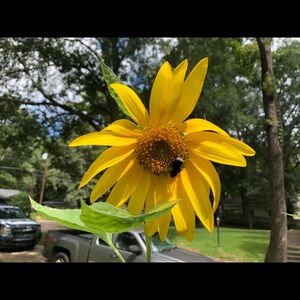 Meet your Posher, Ajilon